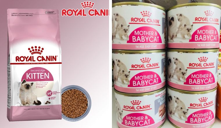 Top 8 pate cho mèo Royal Canin thơm ngon bổ dưỡng, tốt nhất hiện nay