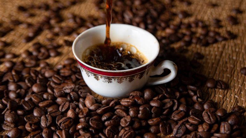 Giá cà phê trong nước hôm nay