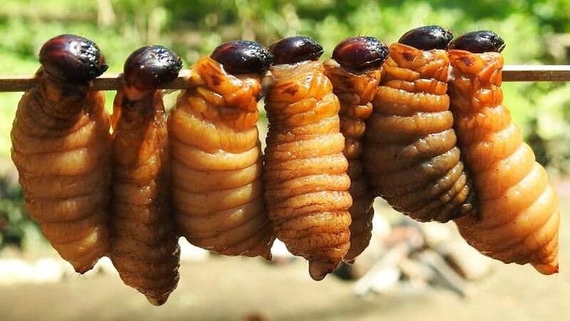 Mud creeper can be grilled or fried with butter