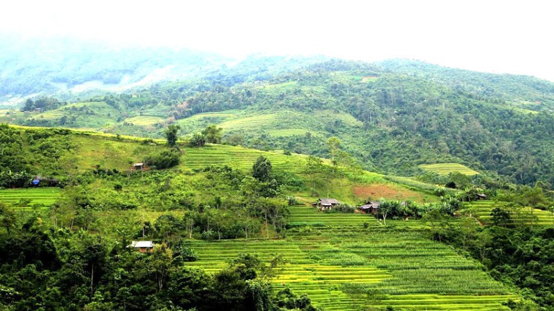 Du lịch Ruộng bậc thang