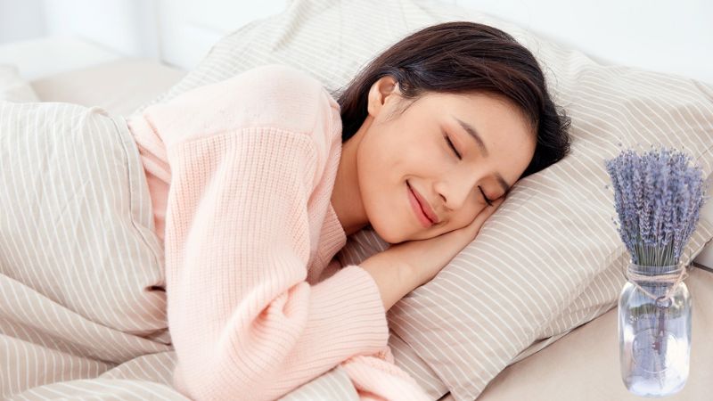Chỉ nên đặt một ít hoa oải hương ở đầu giường ngủ