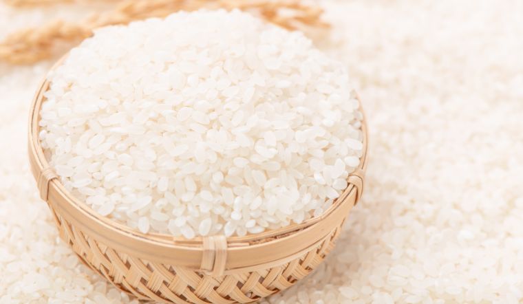 Giá lúa gạo hôm nay 24/4/2023: Tiếp tục duy trì mức ổn định