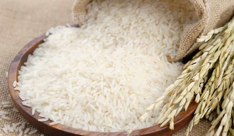 Giá lúa gạo hôm nay 25/4/2023: Vài giống lúa giảm 100 đồng/kg