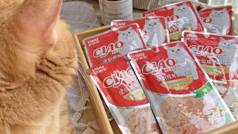Top 4 delicious and nutritious Ciao cat pates on the market