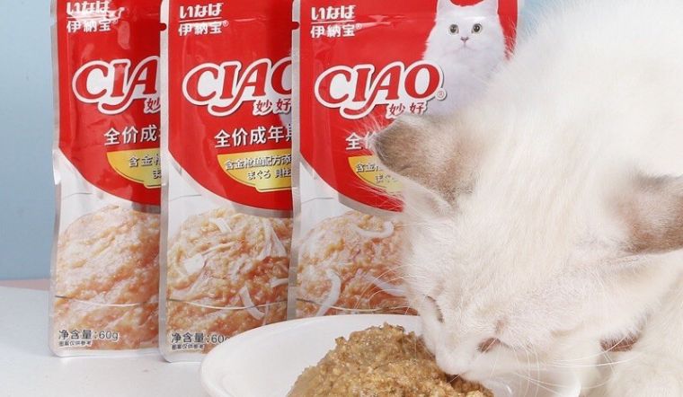 Top 4 pate cho mèo Ciao thơm ngon, dinh dưỡng trên thị trường