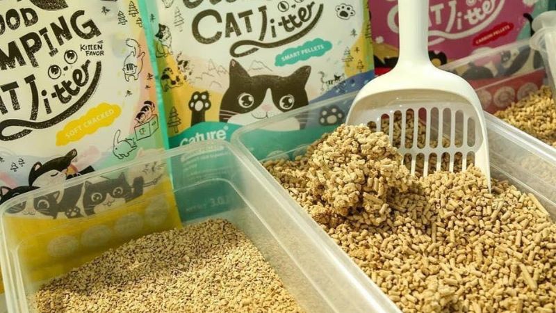Cát vệ sinh cho mèo Cature có gây dị ứng không?
