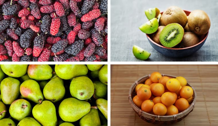 Top 9 loại trái cây cực giàu canxi có ích cho sức khỏe xương khớp