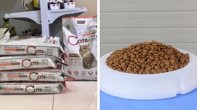 Một số câu hỏi thường gặp về thức ăn hạt cho mèo Cats Rang