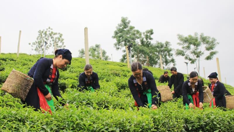 Làng văn hóa du lịch cộng đồng xóm Đồng Tâm xã Tức Tranh