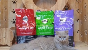 3 cát vệ sinh cho mèo World's Best Cat Litter thấm hút, kiểm soát mùi hiệu quả