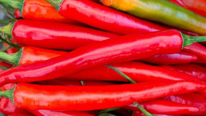 Giá ớt hôm nay 27/04/2023 mới nhất