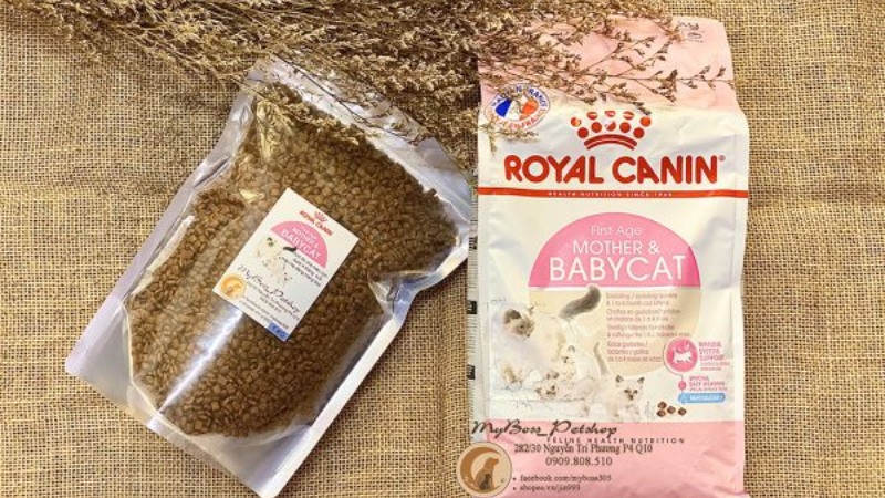 Thức ăn hạt cho mèo Royal Canin Mother & Babycat