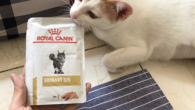 Thức ăn hạt cho mèo Royal Canin Urinary S/O