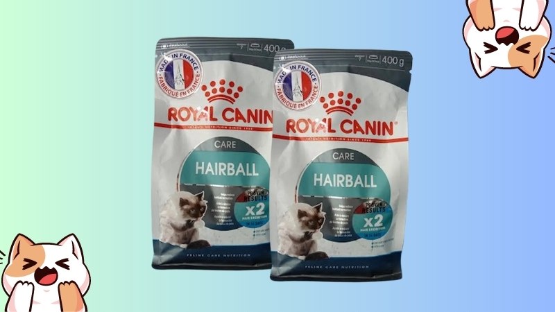 Thức ăn hạt cho mèo Royal Canin Hairball Care