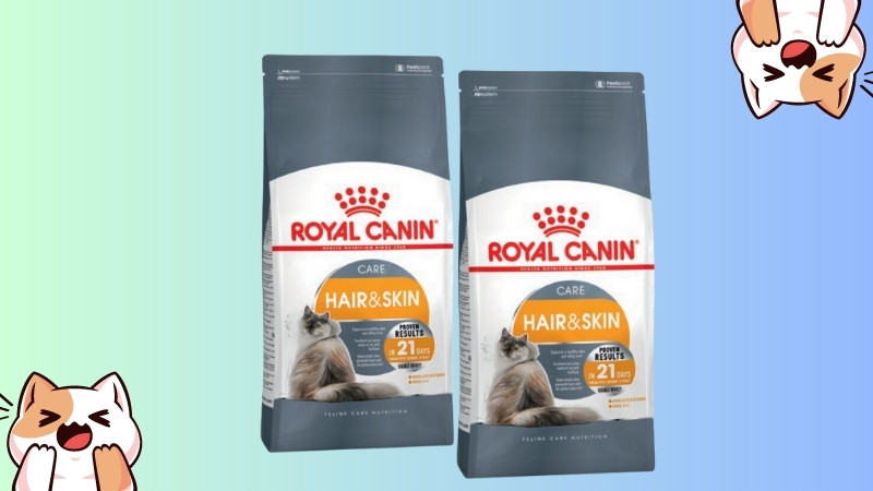 Thức ăn hạt cho mèo Royal Canin Hair & Skin Care