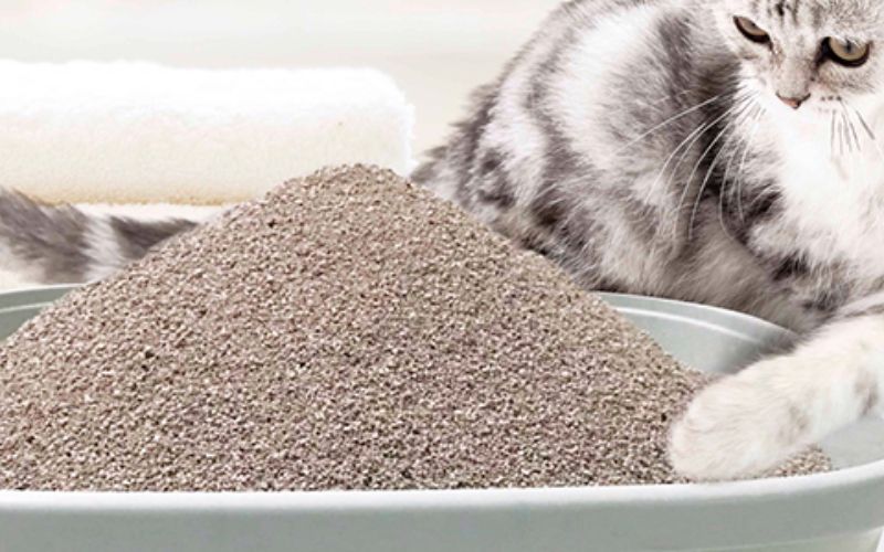 Top 3 Pura cat litter with good scent, good deodorization
