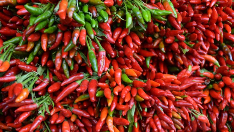 Giá ớt hôm nay 28/04/2023 mới nhất