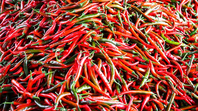 Giá ớt hôm nay 28/04/2023 mới nhất