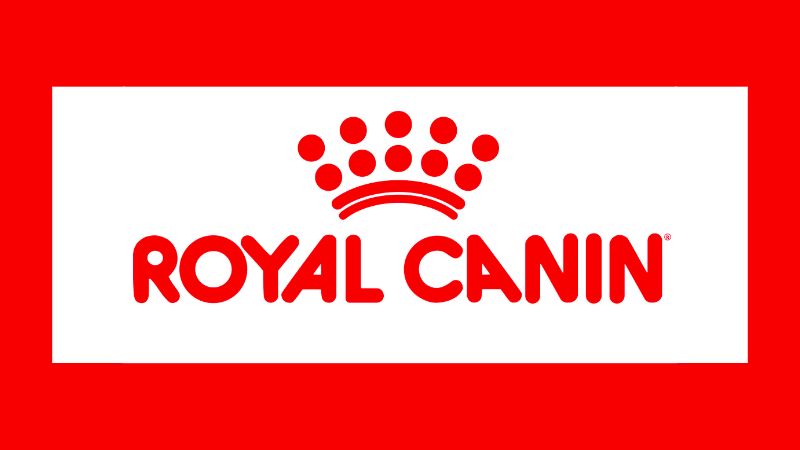 Giới thiệu về sữa cho chó Royal Canin