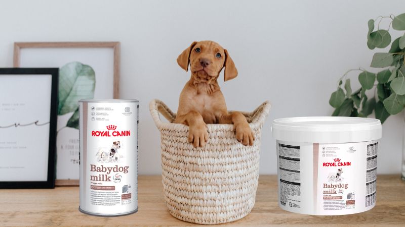 Thành phần dinh dưỡng của Royal Canin Baby Dog Milk