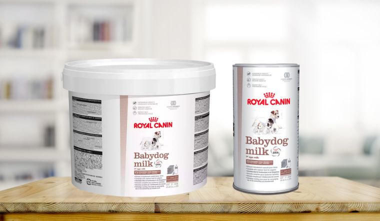 Review sữa cho chó Royal Canin thơm ngon, dinh dưỡng cho chó con