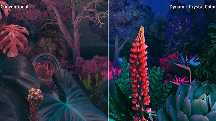 Công nghệ Dynamic Crystal Color