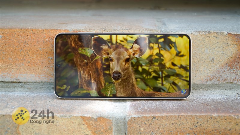 Màn hình độ phân giải cao trên điện thoại có cần thiết?​ Mà độ phân giải là gì?