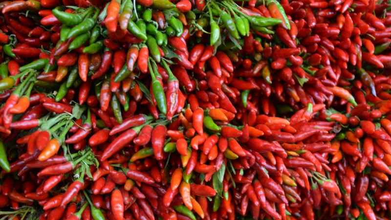Giá ớt hôm nay 03/05/2023 mới nhất
