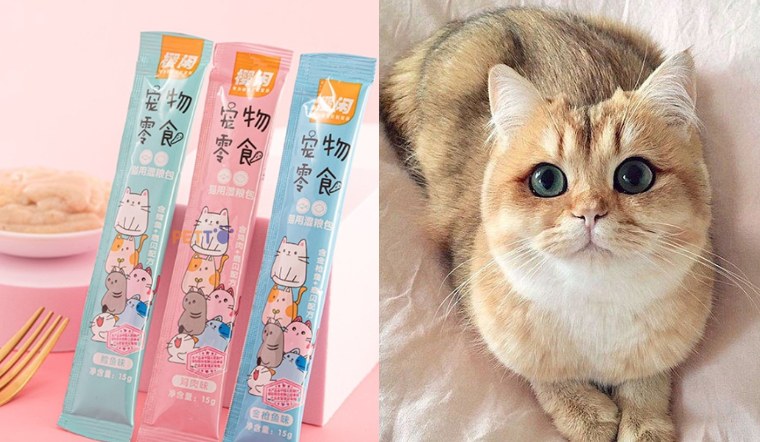 Lợi ích của sốt dinh dưỡng cho mèo Shizuka