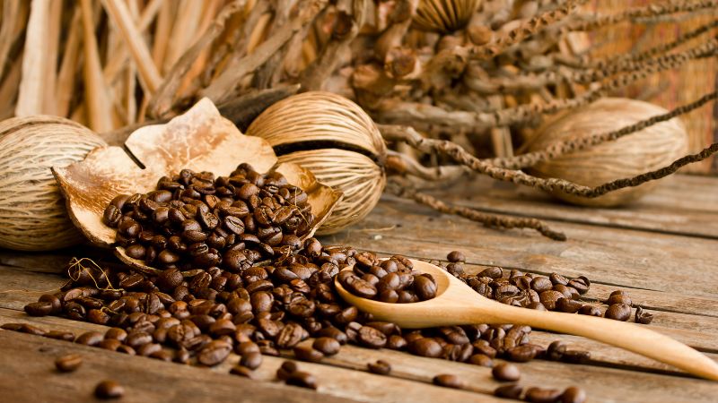 Giá cà phê trong nước hôm nay Giá cà phê trong nước hôm nay