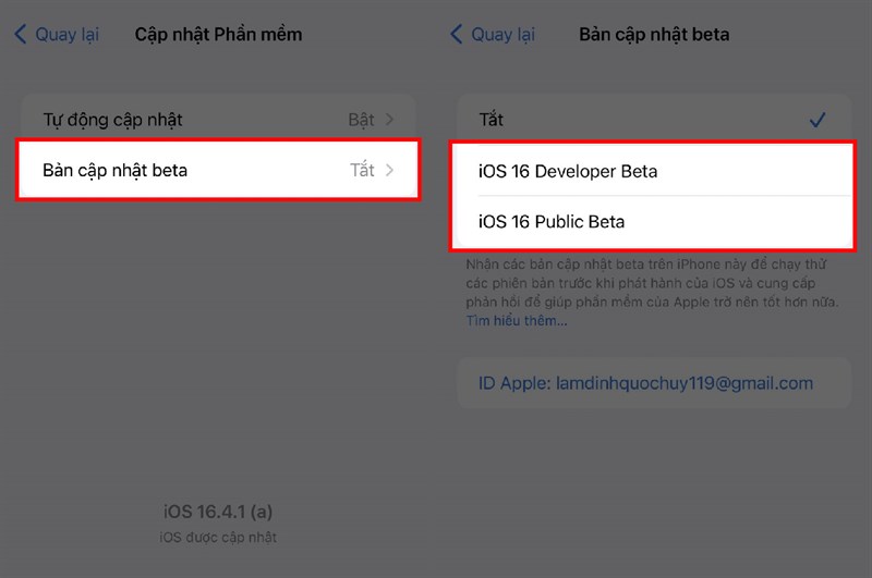 Hướng dẫn cách cập nhật iOS Beta