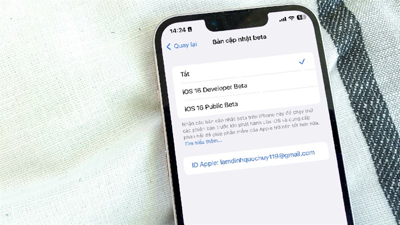 Cách cập nhật iOS Beta