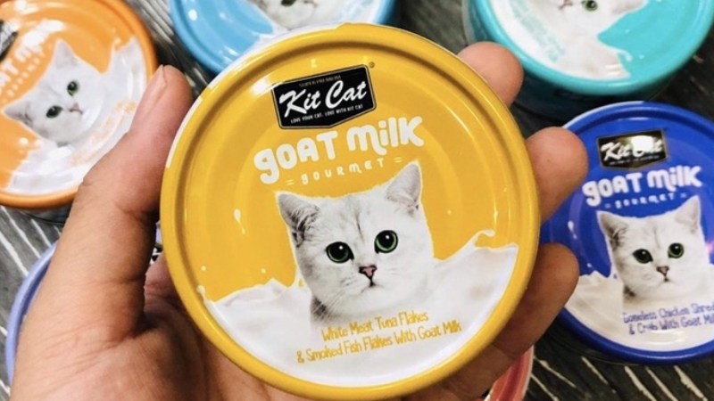 Giới thiệu về pate cho mèo Kitcat