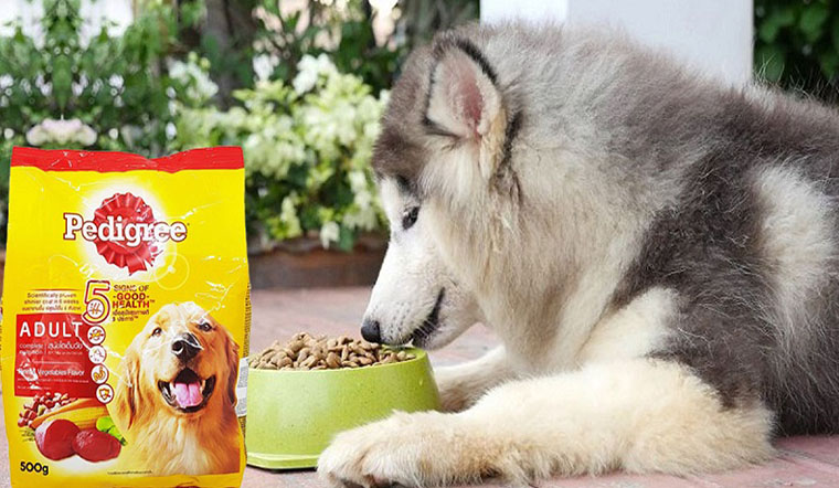 Review 5 thức ăn cho chó Pedigree thơm ngon, dinh dưỡng, giá tốt