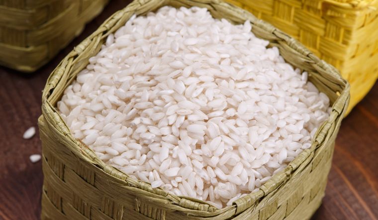 Giá lúa gạo hôm nay 5/5/2023: Điều chỉnh tăng giá so với hôm qua