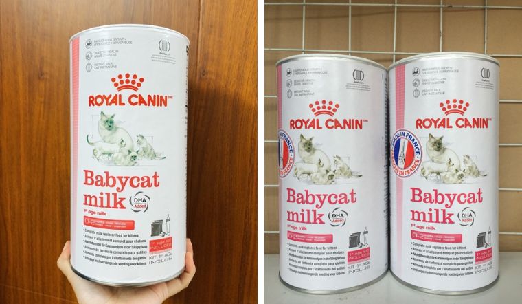 Review sữa cho mèo Royal Canin Baby Cat Milk có tốt không? Giá bao nhiêu?
