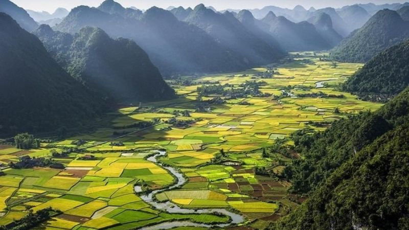 Cánh đồng Thất Khê