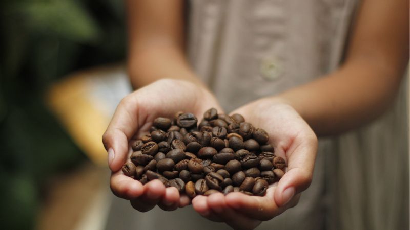 Giá cà phê Arabica giao dịch tại New York