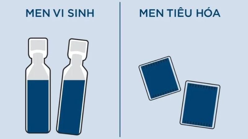 Nhầm lẫn giữa men tiêu hóa và men vi sinh