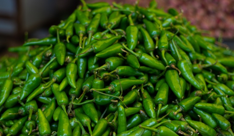 Giá ớt hôm nay 06/05/2023: Giữ nguyên mức giá cũ