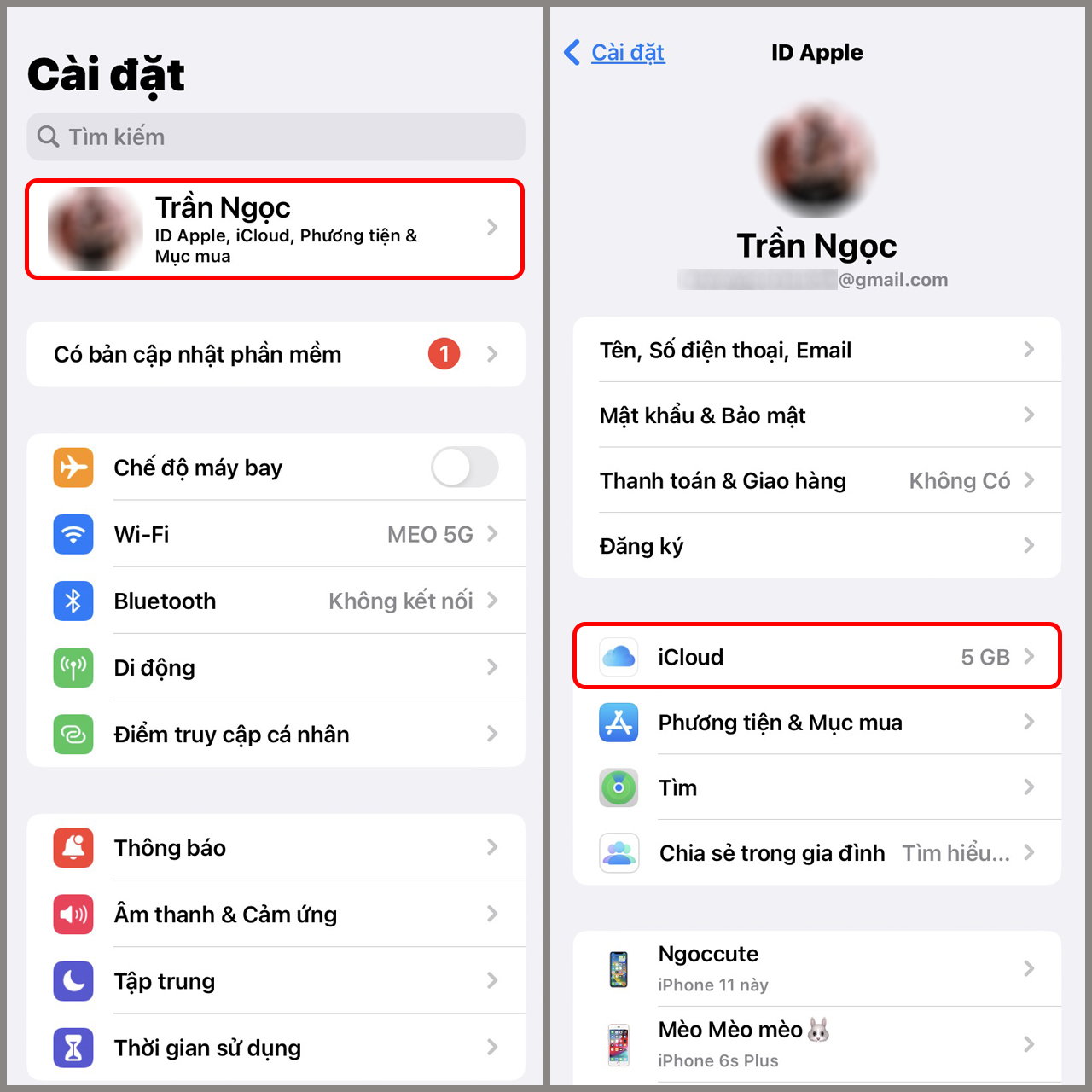 FAQs: Câu Hỏi Thường Gặp Khi Sử Dụng Danh Bạ iCloud