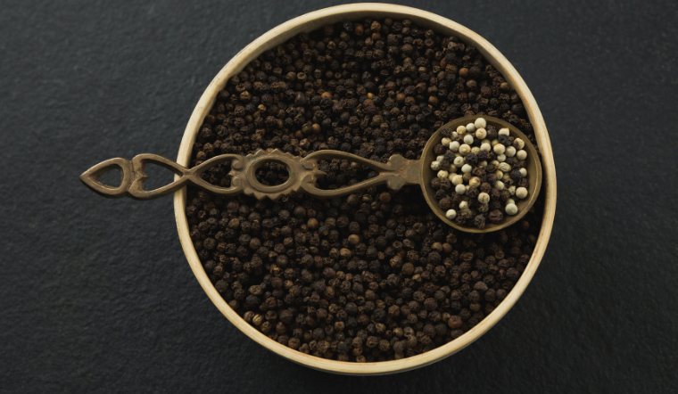 Giá tiêu hôm nay 8/5/2023: Đi ngang sau 4 ngày tăng liên tiếp