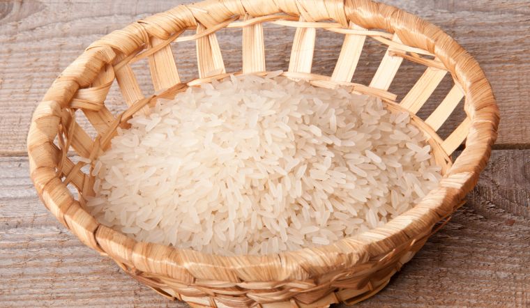 Giá lúa gạo hôm nay 8/5/2023: Một vài giống lúa gạo thay đổi