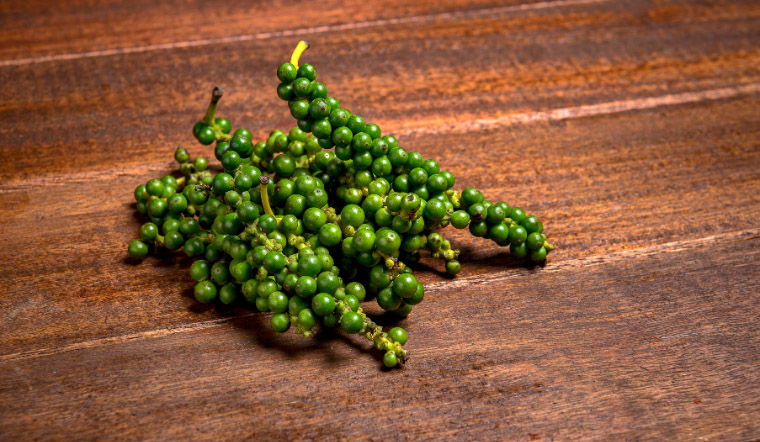 Giá tiêu hôm nay 9/5/2023: Tiếp tục tăng 500 - 1.000 đồng/kg