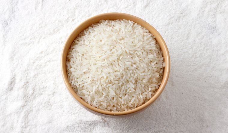 Giá lúa gạo hôm nay 9/5/2023: Không ghi nhận sự thay đổi mới