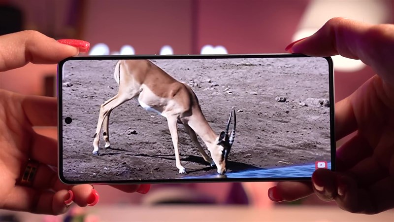 Mặt trước của POCO F5 sở hữu màn hình đục lỗ với các cạnh viền rất mỏng.