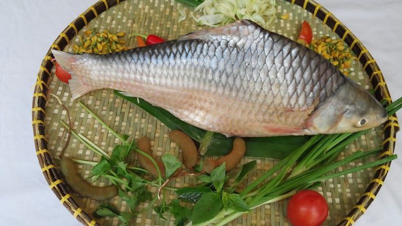 Where to buy snakehead fish, how much does it cost
