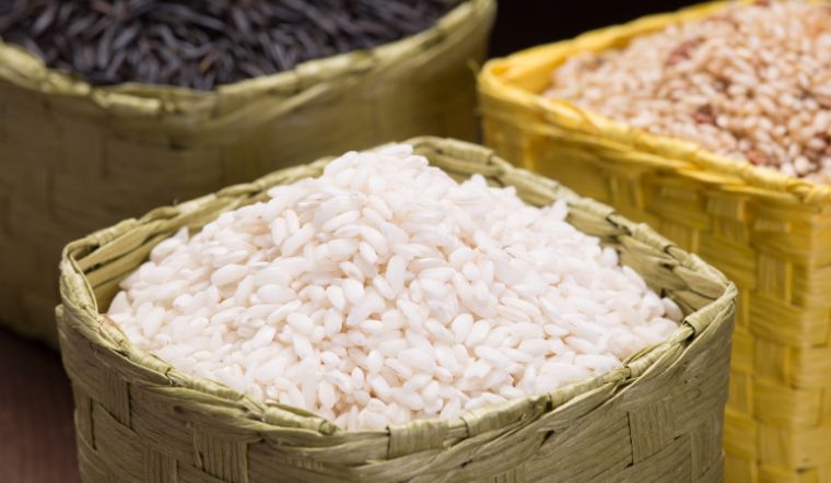 Giá lúa gạo hôm nay 10/5/2023: Tiếp tục ổn định