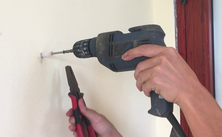 Hướng dẫn chọn tắc kê thích hợp với mục đích sử dụng