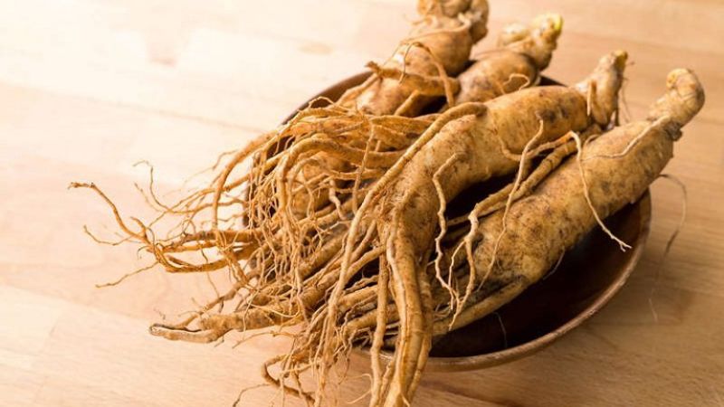 Ginseng